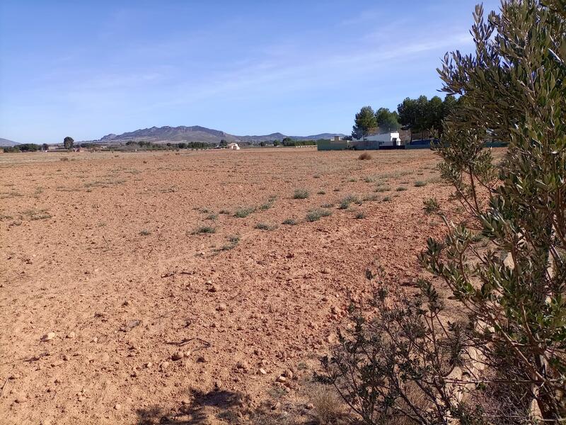 Landsted til salg i Yecla, Murcia