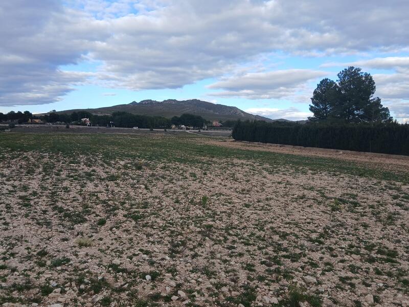 Landsted til salg i Yecla, Murcia