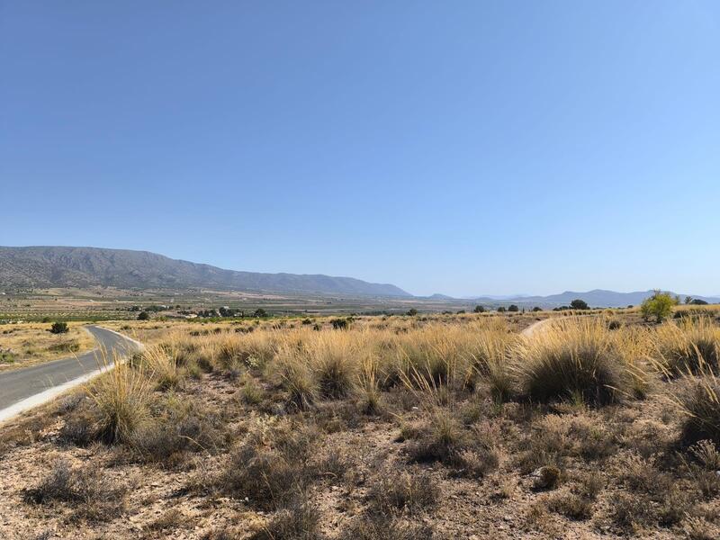 Country House for sale in Pinoso, Alicante
