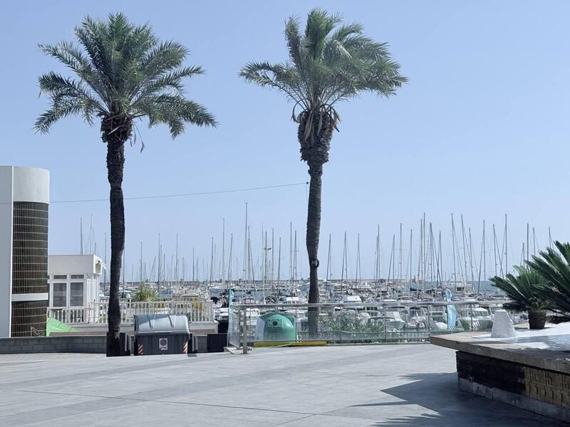 4 Cuarto Apartamento en venta