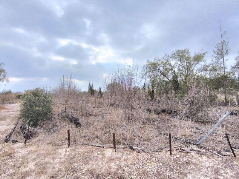 Commercial Property for sale