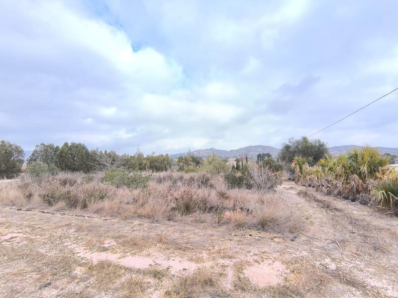 Commercial Property for sale