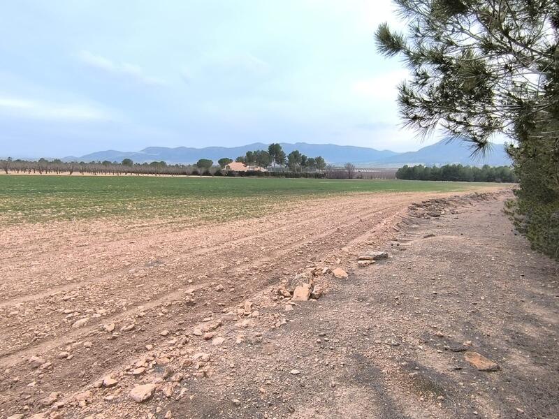 Country House for sale in Yecla, Murcia