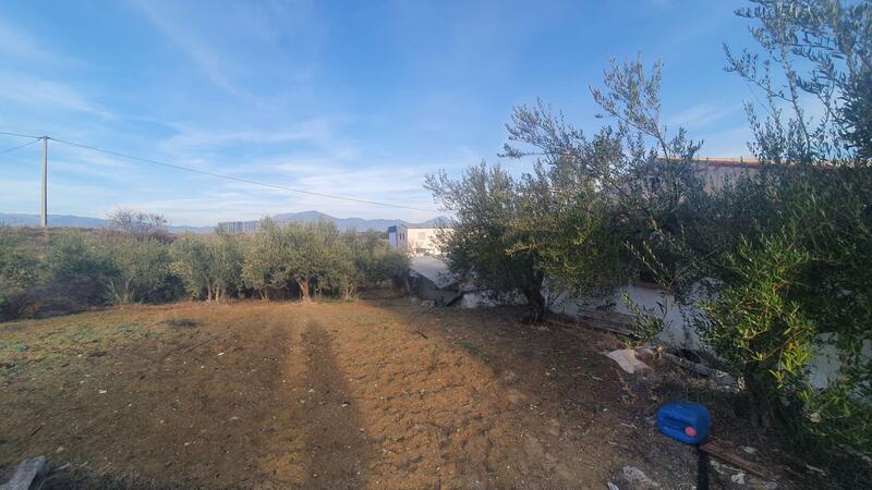 Commercial Property for sale