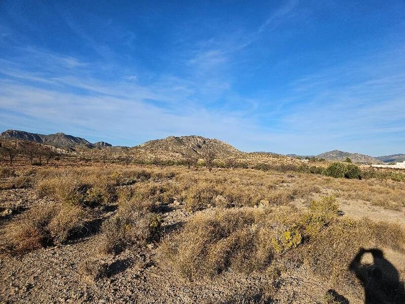 Herregård til salgs i Elda, Alicante
