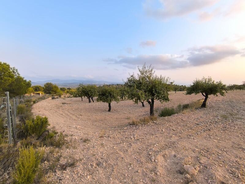 Country House for sale