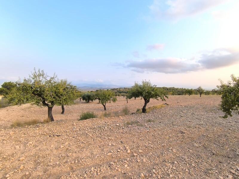 Country House for sale