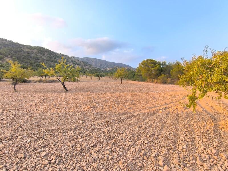 Country House for sale
