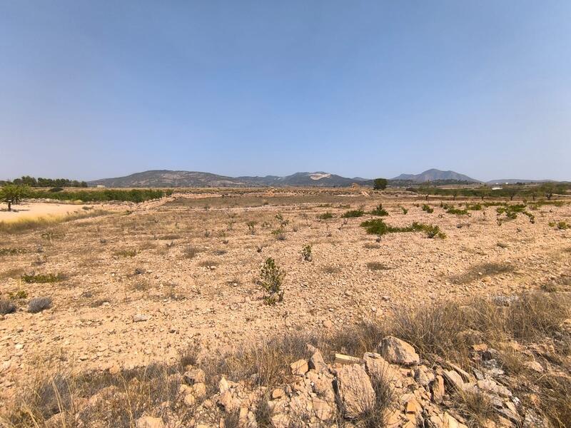 Country House for sale in Pinoso, Alicante