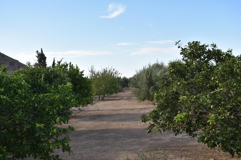 2 bedroom Country House for sale