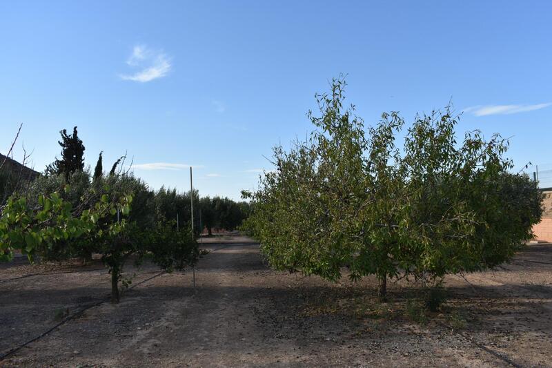 2 bedroom Country House for sale