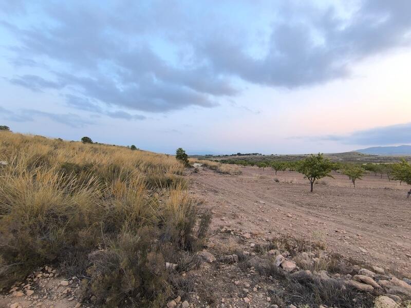 Country House for sale