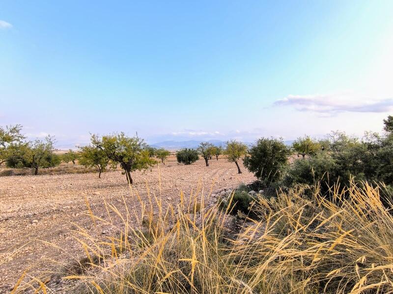 Country House for sale in Pinoso, Alicante