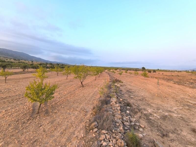 Country House for sale