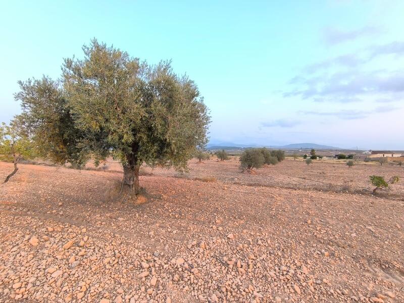 Country House for sale
