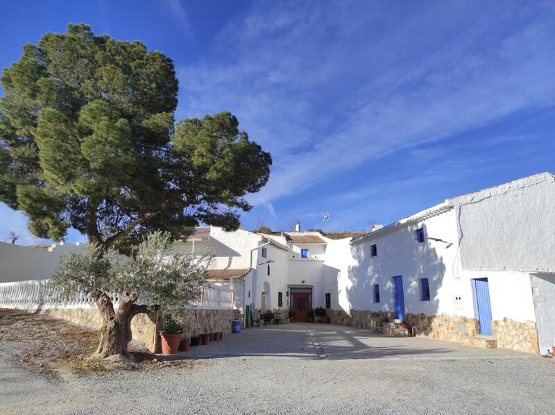 7 bedroom Townhouse for sale