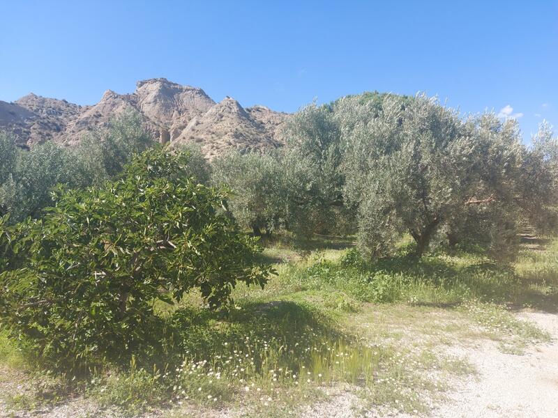 1 bedroom Country House for sale