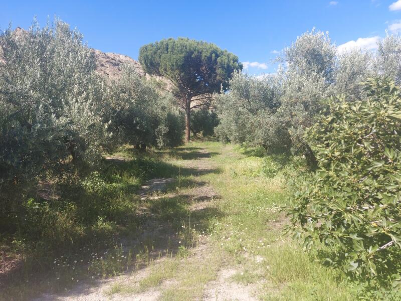 1 bedroom Country House for sale