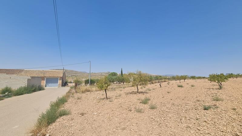 Casa de Campo en venta