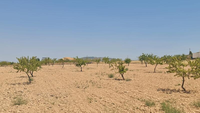 Casa de Campo en venta