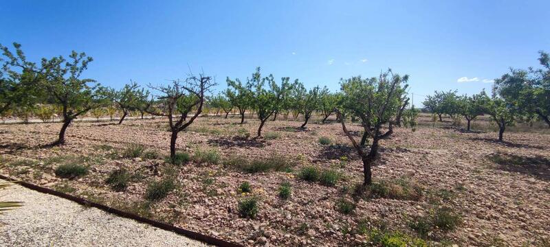 4 Cuarto Villa en venta