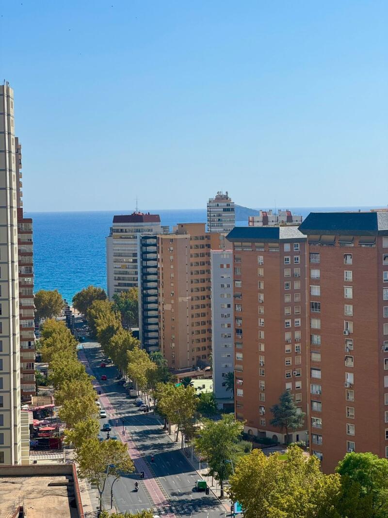 квартира продается в Benidorm, Alicante