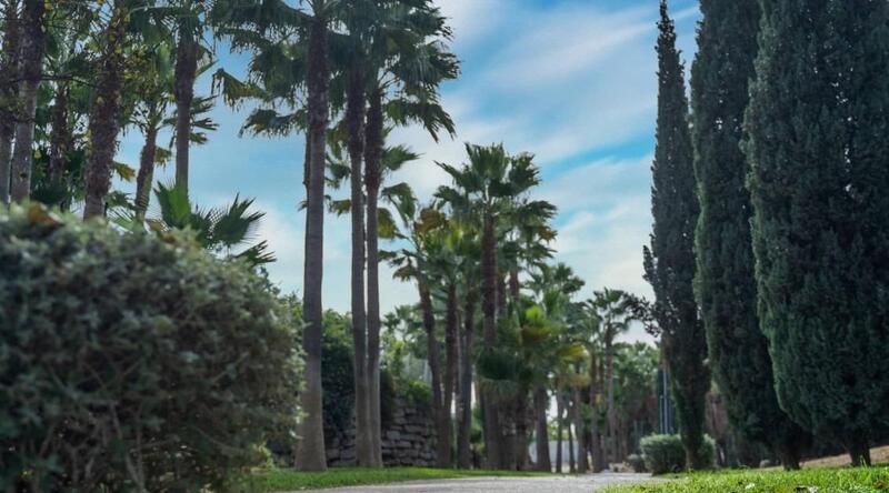 3 Cuarto Apartamento en venta