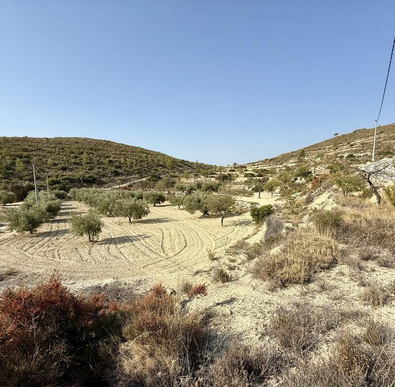 Herregård til salgs i Relleu, Alicante