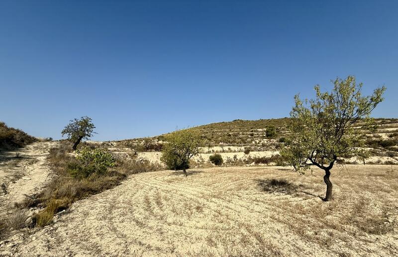 Casa de Campo en venta