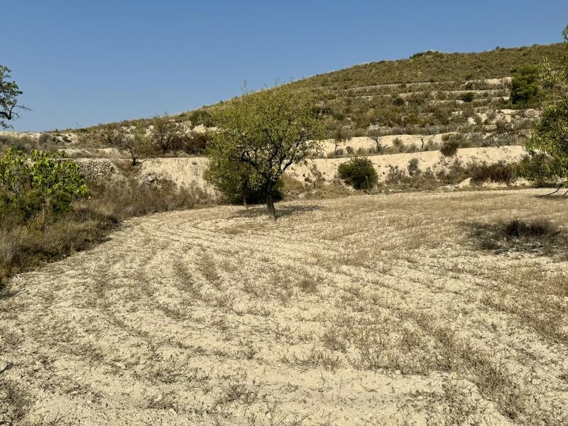 Casa de Campo en venta