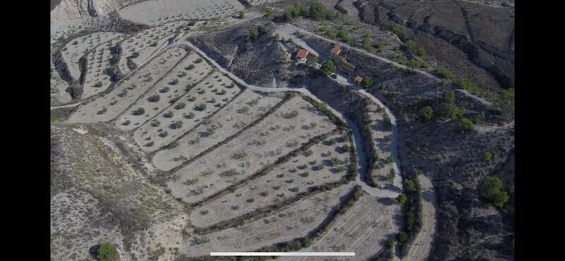 3 bedroom Commercial Property for sale