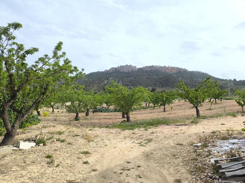 7 bedroom Country House for sale