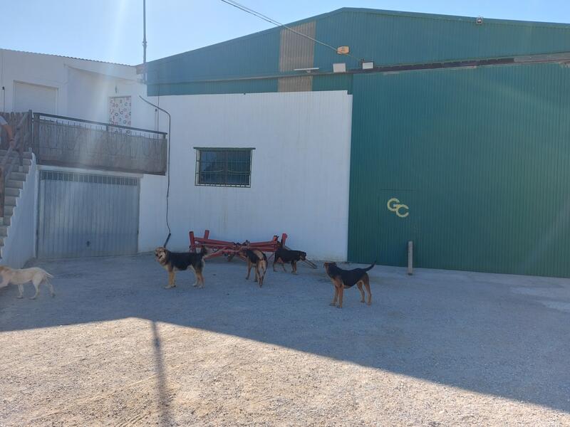 6 bedroom Commercial Property for sale