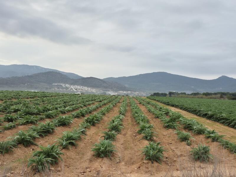 Деревенский Дом продается в Hondon de las Nieves, Alicante Деревенский Дом продается в Hondon de las Nieves, Alicante