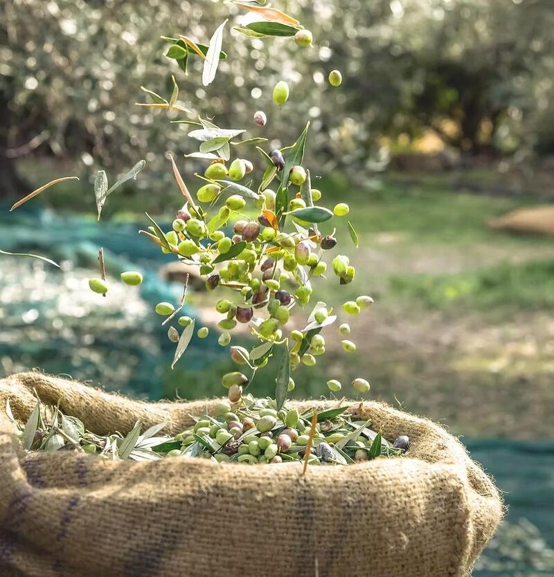 10 bedroom Country House for sale