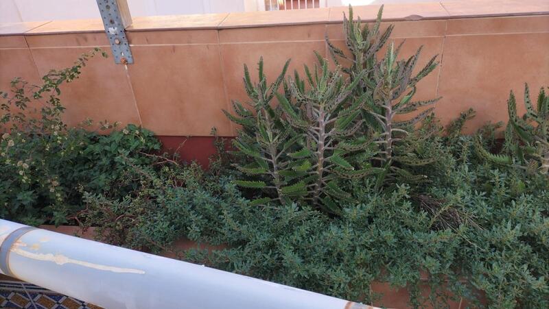 2 sovrum Lägenhet till salu