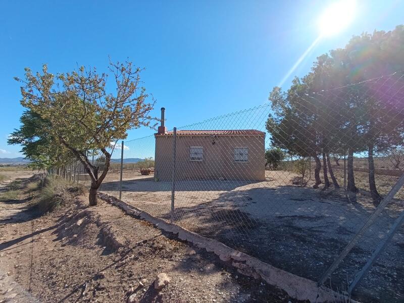 Casa de Campo en venta en Jumilla, Murcia Casa de Campo en venta en Jumilla, Murcia