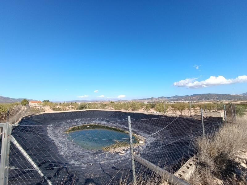 3 Cuarto Casa de Campo en venta 3 Cuarto Casa de Campo en venta