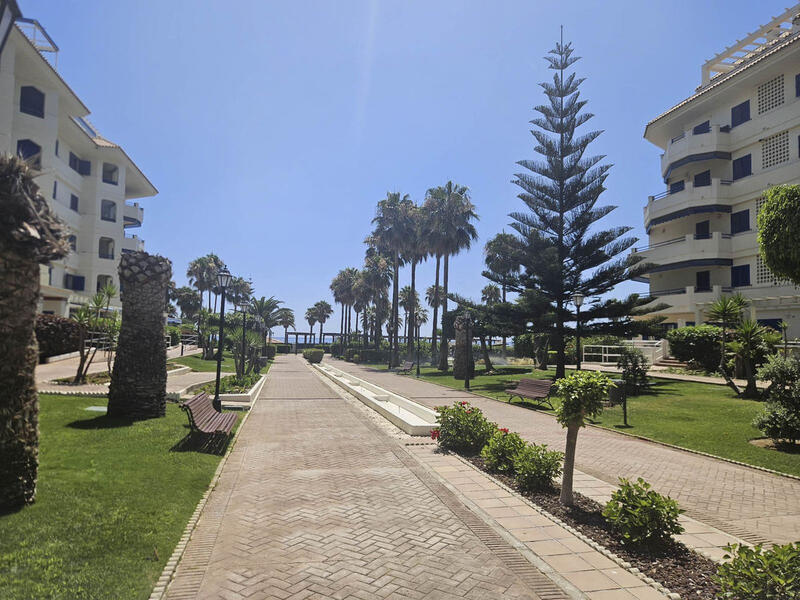 1 chambre Appartement à vendre 1 chambre Appartement à vendre