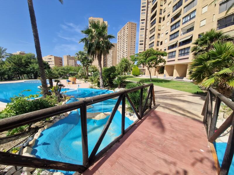 квартира продается в Benidorm, Alicante квартира продается в Benidorm, Alicante