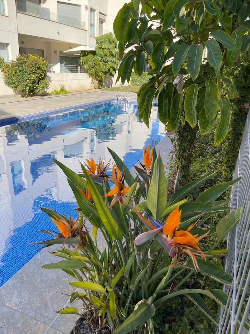 2 bedroom Villa for sale 2 bedroom Villa for sale