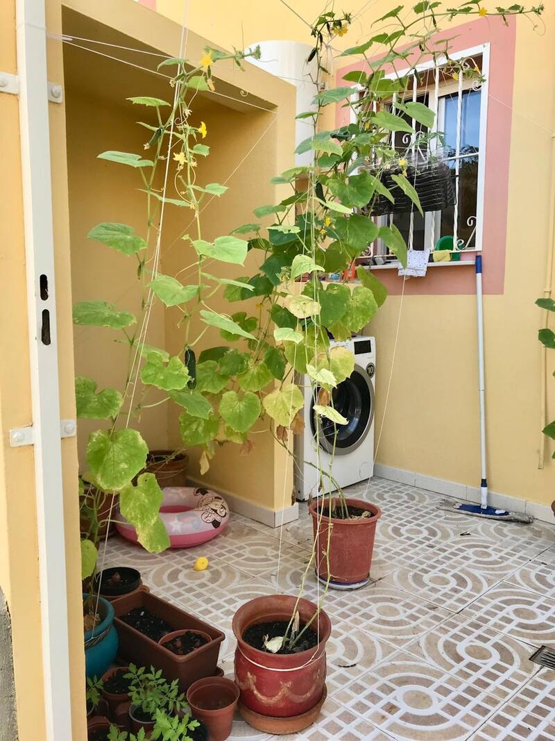 2 sovrum Radhus till salu 2 sovrum Radhus till salu