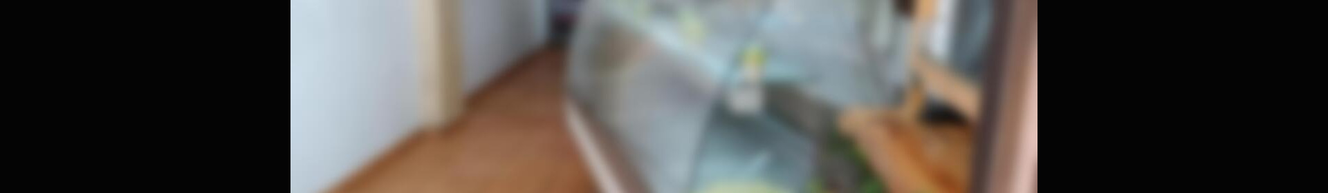 Commercial Property for sale