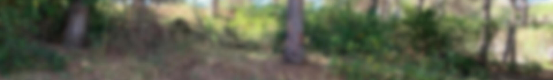 Country House for sale