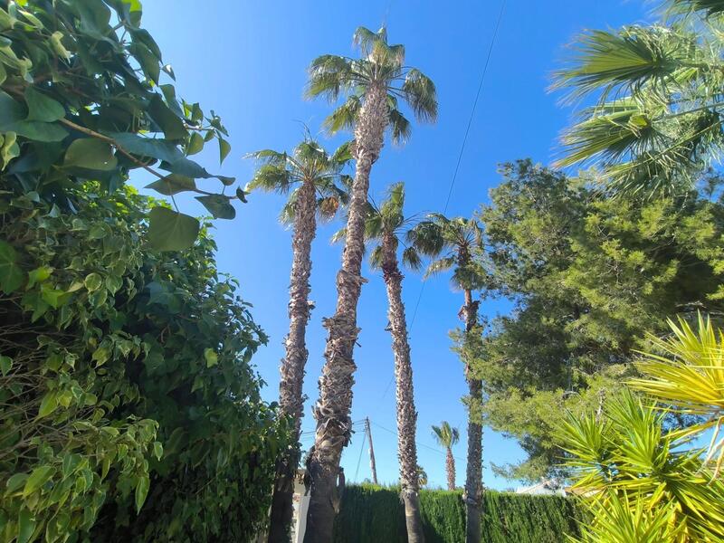 5 Cuarto Villa en venta