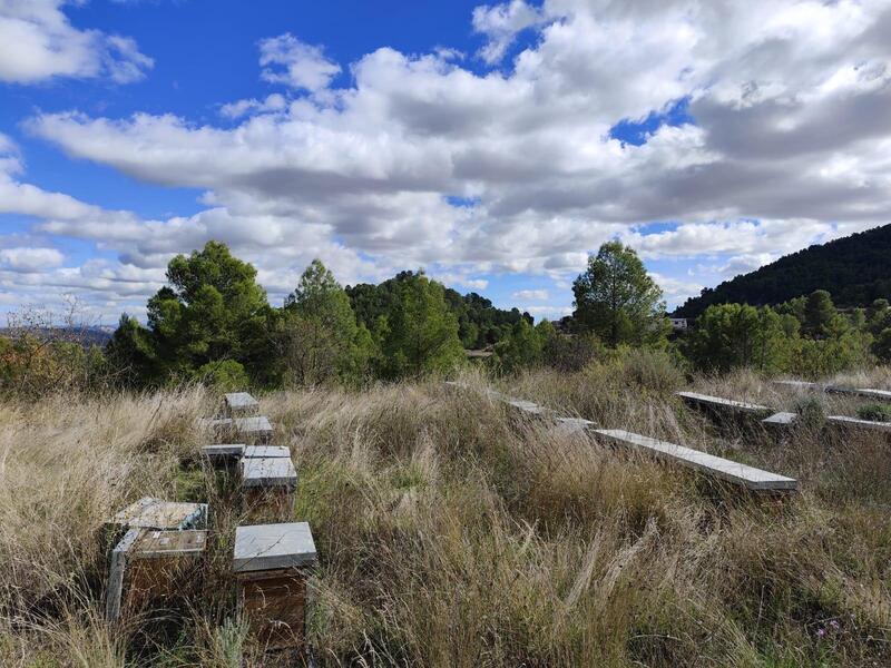 Country House for sale Country House for sale