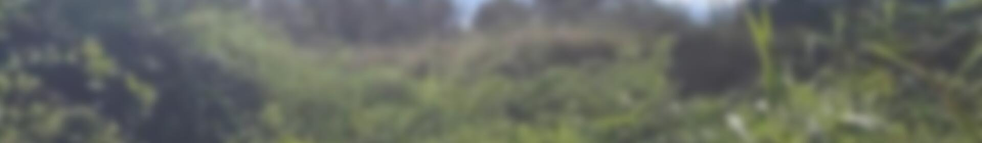 Country House for sale