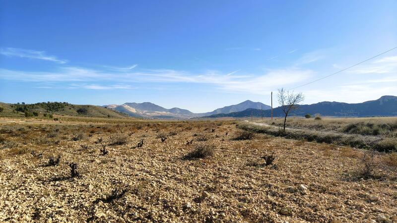 Country House for sale Country House for sale