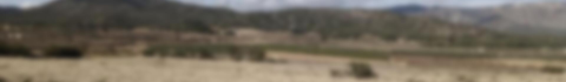 Country House for sale