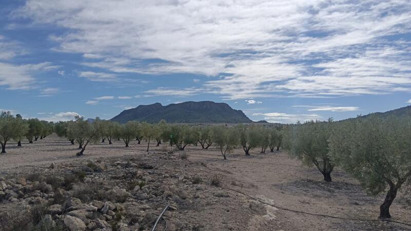 Country House for sale Country House for sale